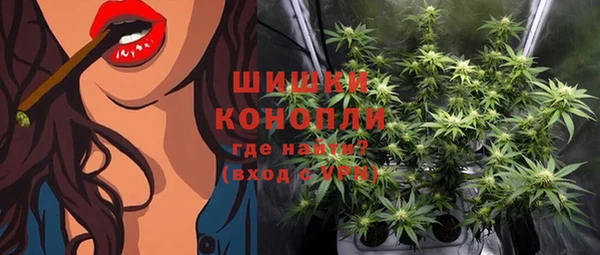 apvp Пересвет